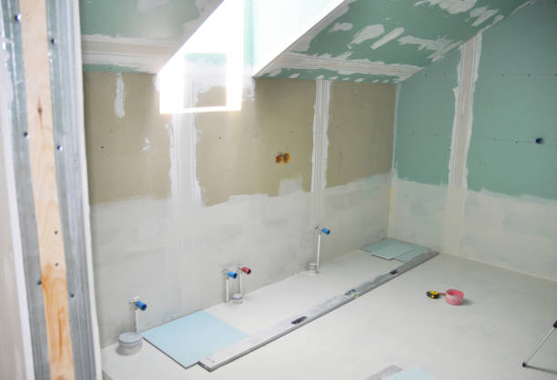 Best Drywall Removal and Disposal  in Theodore, AL